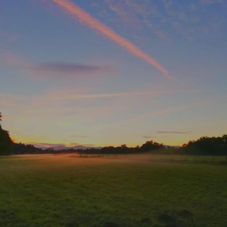 Ferienwohnung Gestuet Von Erden Hassloch  Bagian luar foto