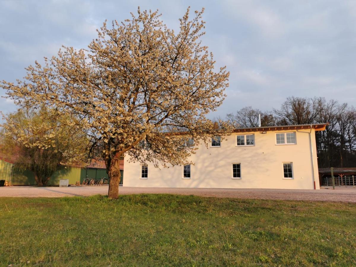 Ferienwohnung Gestuet Von Erden Hassloch  Bagian luar foto